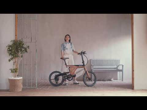 [BESV] 베스비(BESV) PSF1 폴딩 영상