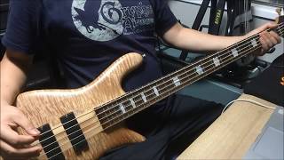 Pantera - Regular People(Conceit) (Bass Cover)