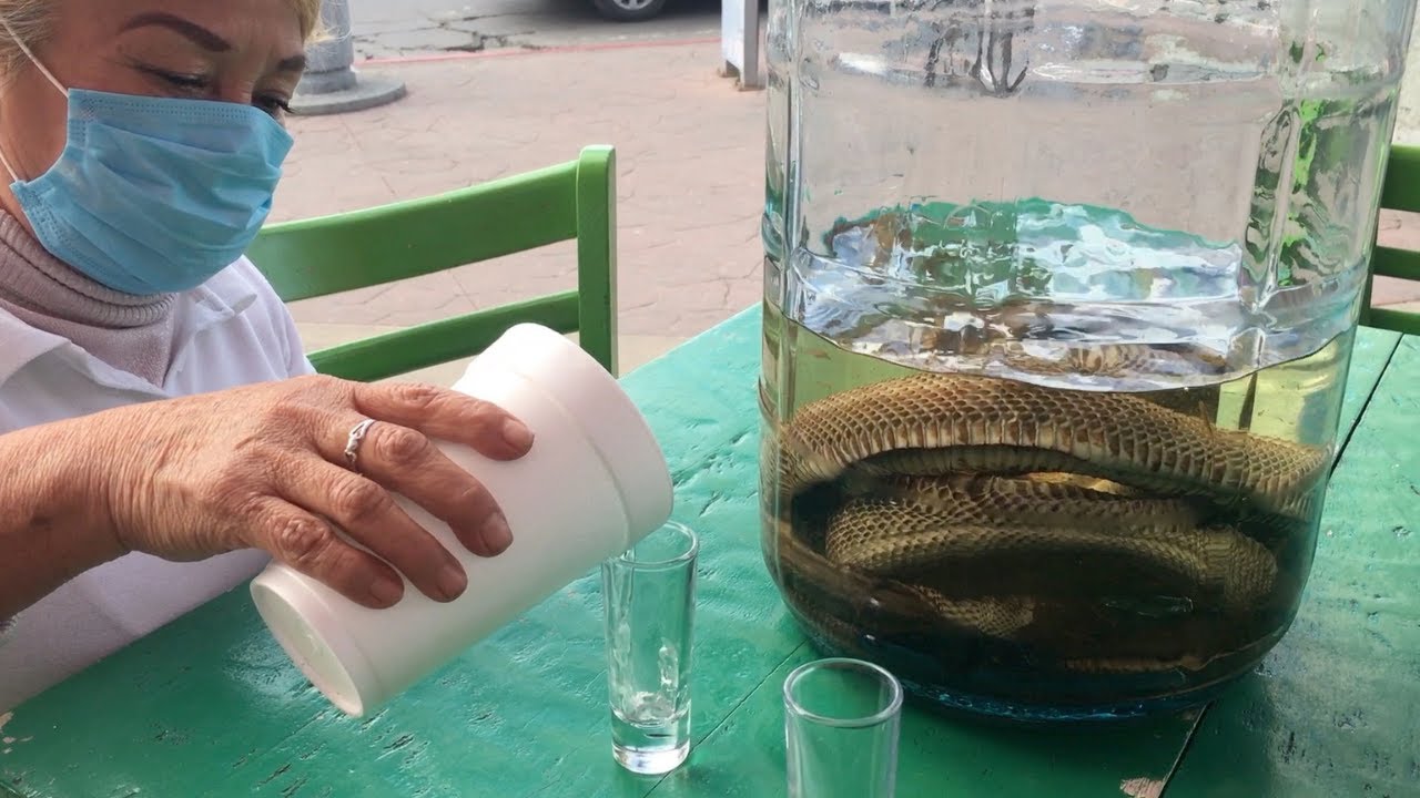 Watch video Drinking Rattlesnake Tequila in Tijuana Now Drinking Rattlesnake Tequila in Tijuana