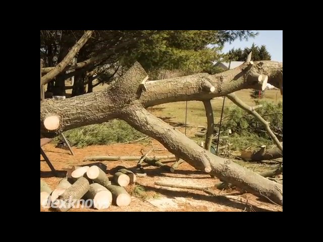 Brian's Tree Service - Highland, IN