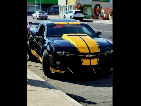 Grupo Selectivo Ft Los Minis De Caborca - R Corte Fino (Video Lyrics