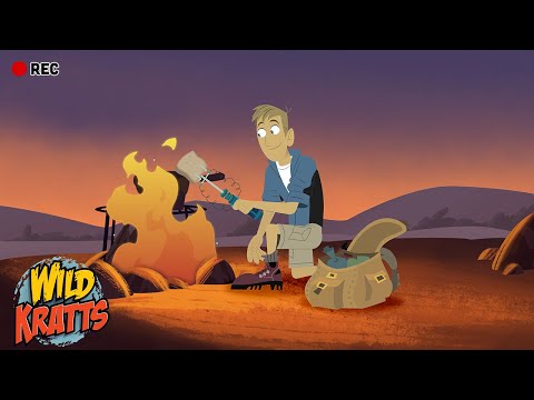 Wild Kratts FULL EPISODE MARATHON 🐼🦒