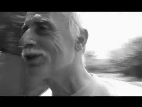 Morometii  - dupa 20 de ani... (2007)