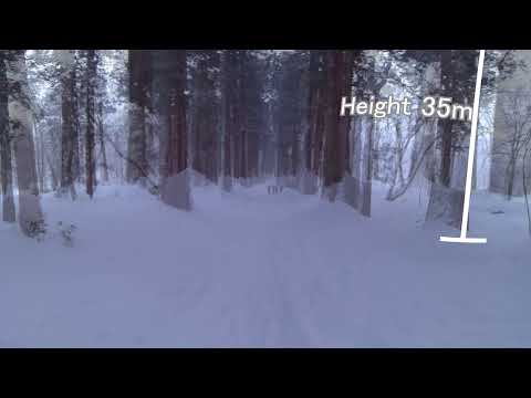 Togakushi OKUSHA Shrine Snowshoeing/Trecking | 360 VR Video | Nagano Japan