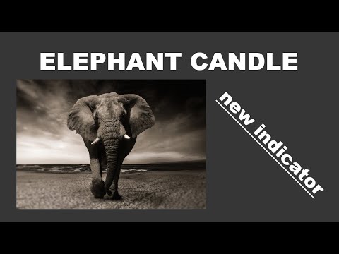 Video Elephant Candle MT5