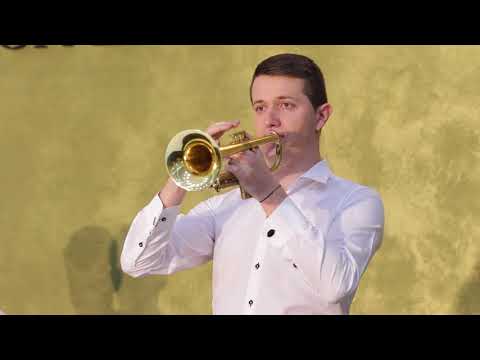 Nou 2018 Formatia NADIS Salon Zamca Suceava - Sarba instrumentala