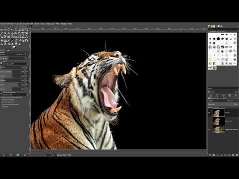 Gimp 2.10.8: Freistellen mit Vordergrundauswahl – unruhiger Hintergrund