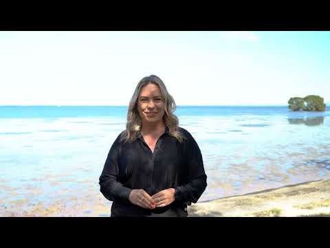 99 Esplanade, Godwin Beach, QLD 4511, 4 Schlafzimmer, 2 Badezimmer, House