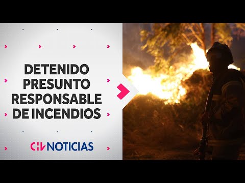 Detienen a sujeto acusado de provocar incendio forestal en Región del Bío Bío