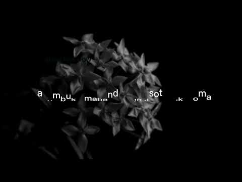 Brother Lee || Dharau zenu (Official lyric video)