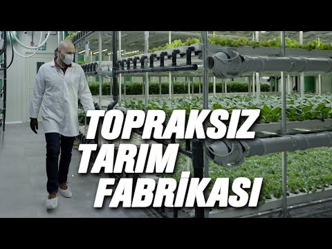 Sermayemiz Bile Yoktu | Türkiye’nin İlk Sebze Fabrikası