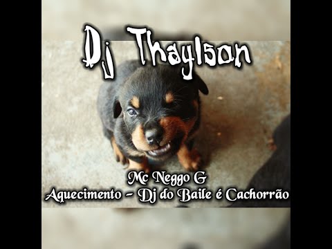 Mc Neggo G - Dj do Baile é Cachorrão