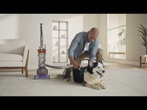 Revolutionize Your Cleaning Routine with #Dyson Ball Animal 3 The Ultimate Cleaning Solution #viral