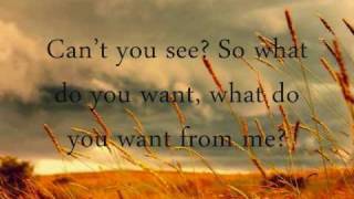 What Do You Want  - Jerrod Niemann (with lyrics)