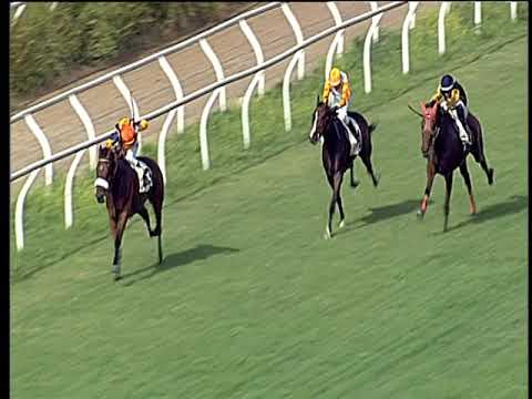 Galoppo 07/07/2019 - 1ª corsa