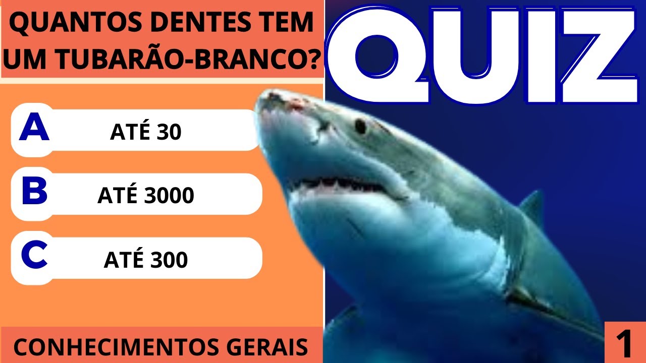 Perguntas de "CONHECIMENTOS GERAIS" | Você acerta todas ? | #quiz  #conhecimentosgerais