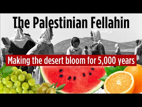 The Palestinian Fellahin: Making the desert bloom for 5,000 years