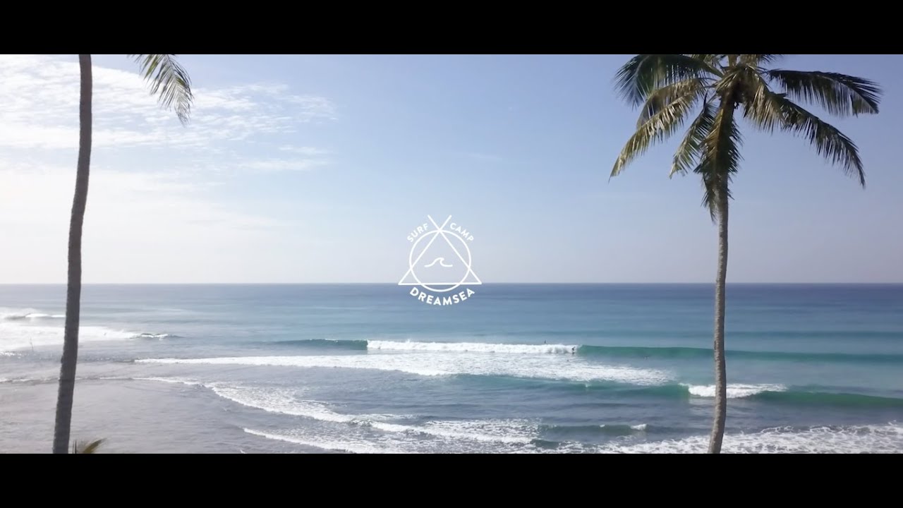 Video: Surfvakantie Sri Lanka – tropisch surf camp