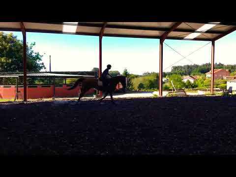 Training day 150/160 with súper Gentlemen [ Indoctro x Chinchin]