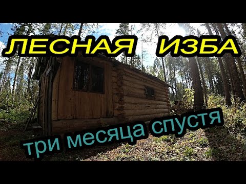 Лесная изба .Три месяса спустя .