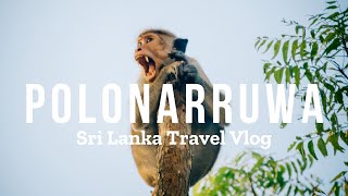 preview picture of video 'POLONARRUWA, SRI LANKA - The City of Monkeys - 4k'