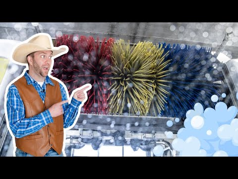 Man in a cowboy hat and brown leather vest points at a large colorful car-wash brush, with soap bubbles in the foreground.