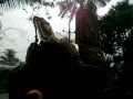Chulliparambil Vishnusankar V S Cherpulassery Parthan