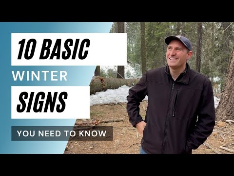 10 Basic Signs for WINTER | ASL Basics for Beginners | sign language made EASY | 4K