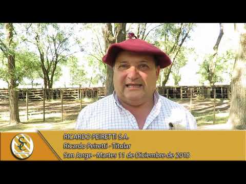 11-12-18 Nota Ricardo Peiretti - Titular - Ricardo Peiretti S.A. - San Jorge