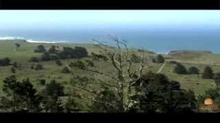 Incredible Ocean View 61 Acres w/ 2 Homes, Mendocino County, California