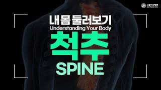 <b>척추</b> 미리보기 썸네일