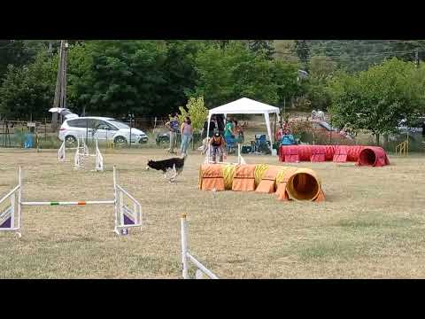 Agility verseny - zsenge kategória, második helyezés
