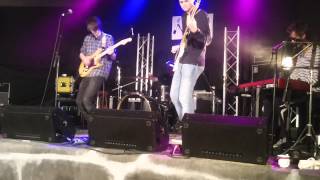 Fred Friedstones - Honey Bee