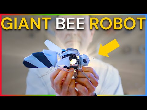 BionicBee Review Video 4