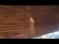 Support Beam Infested with Carpenter Bees in Bradley Beach, NJ