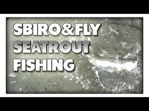 Angeln auf Meerforelle mit Sbiro und Fliege
