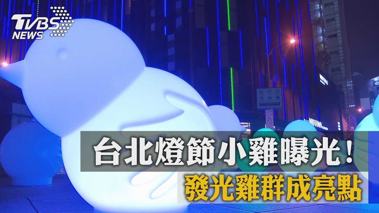 台北燈節小雞曝光！　發光雞群成亮點
