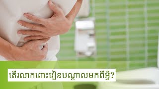 តើរលាកពោះវៀនបណ្តាលមកពីអ្វី?| ចំនេះដឹងសុខភាព​​​ | Health Education