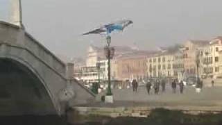 Le cerf-volant acrobatique NSE WW - Nirvana SE WW sur bilboquet.com