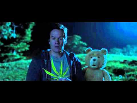 Ted 2 platacion de yerba