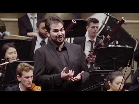 Franz Schubert - Winterreise | PreCollege Orchestra Zürich | orch. Massimiliano Matesic