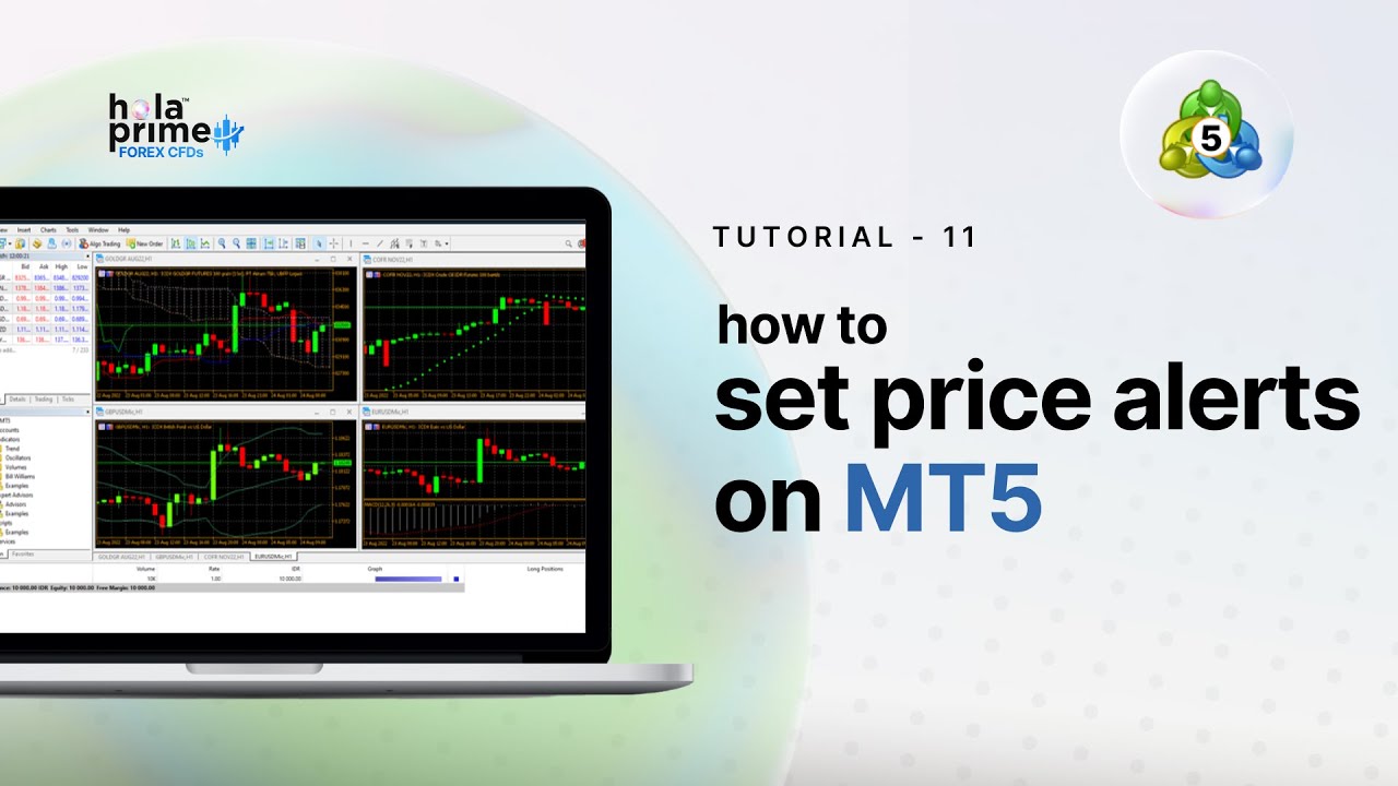 Preisalarme in MetaTrader 5 einrichten | Eine einfache Anleitung