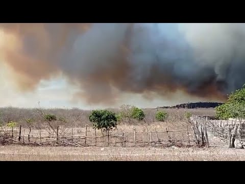 Ambientalistas e órgãos fazem campanha contra efeitos nocivos das queimadas 31 07 2021