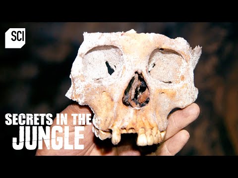 Thousands of Human Bones Found in Belizean Cave