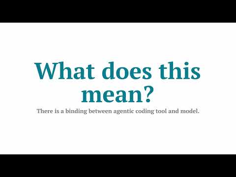 Agentic Coding Ecosystem 2025