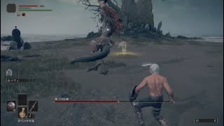エルデンリング　獅子の混種