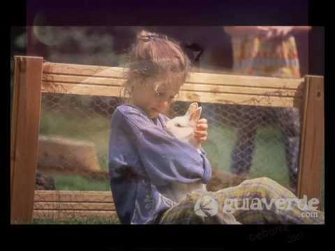 Gayatri Mantra GRACIAS DIOS MIO..