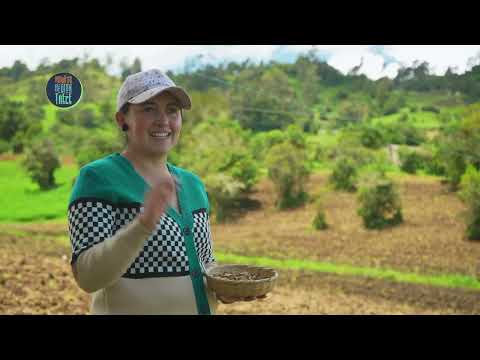 Gastronomía de Ciénaga en Magnífica Región Trece | T2