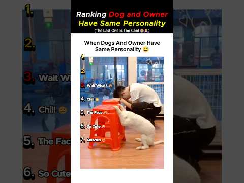 Owner–Dog Twins?! Ranking the Most Matching Personalities Ever #shorts #viralvideo #entertainment