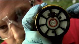 Safelite Technician Erik Stops a Windshield Crack from Spreading